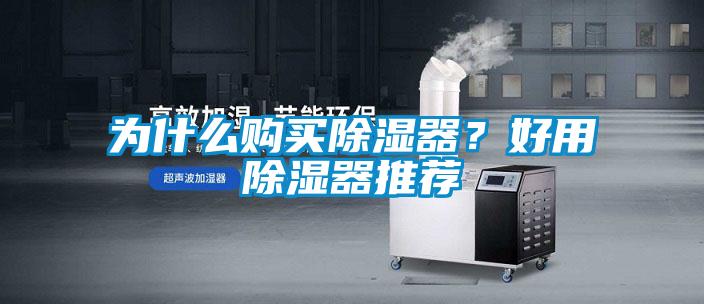 為什么購買除濕器？好用除濕器推薦