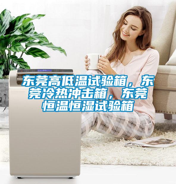 東莞高低溫試驗箱，東莞冷熱沖擊箱，東莞恒溫恒濕試驗箱