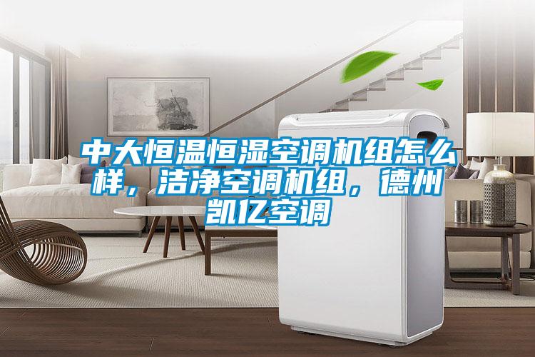 中大恒溫恒濕空調(diào)機(jī)組怎么樣，潔凈空調(diào)機(jī)組，德州凱億空調(diào)