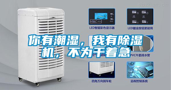 你有潮濕，我有除濕機，不為干著急