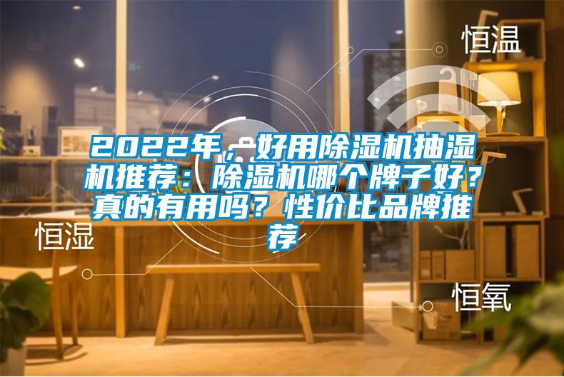 2022年，好用除濕機(jī)抽濕機(jī)推薦：除濕機(jī)哪個(gè)牌子好？真的有用嗎？性價(jià)比品牌推薦