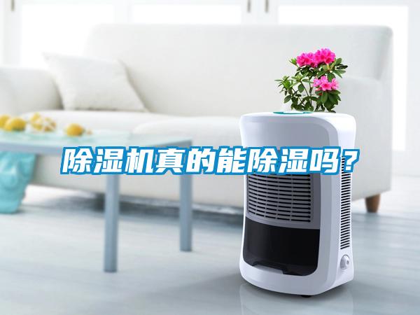 除濕機(jī)真的能除濕嗎？