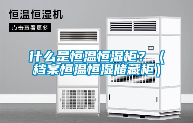 什么是恒溫恒濕柜？（檔案恒溫恒濕儲藏柜）