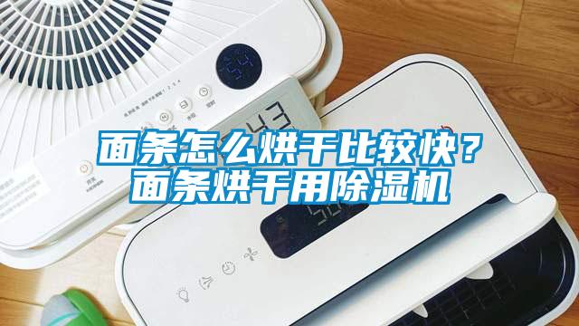 面條怎么烘干比較快？面條烘干用除濕機(jī)