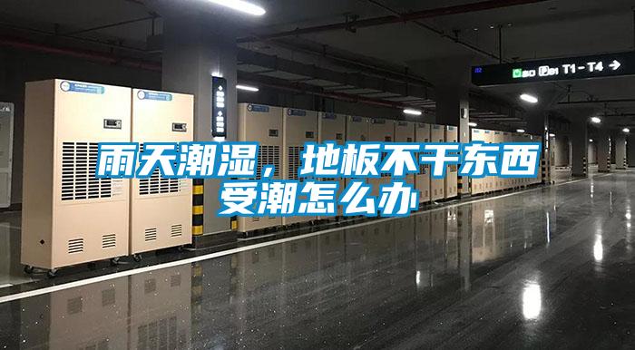 雨天潮濕，地板不干東西受潮怎么辦