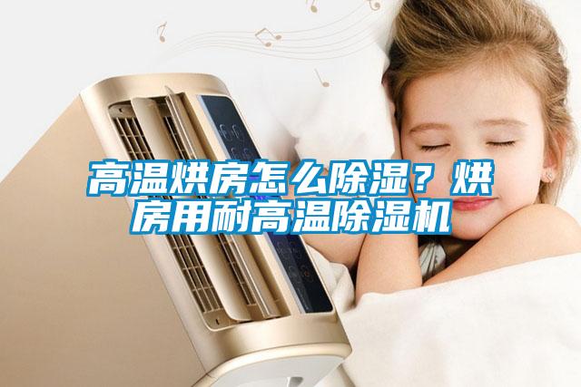 高溫烘房怎么除濕？烘房用耐高溫除濕機