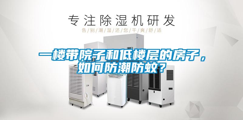 一樓帶院子和低樓層的房子，如何防潮防蚊？