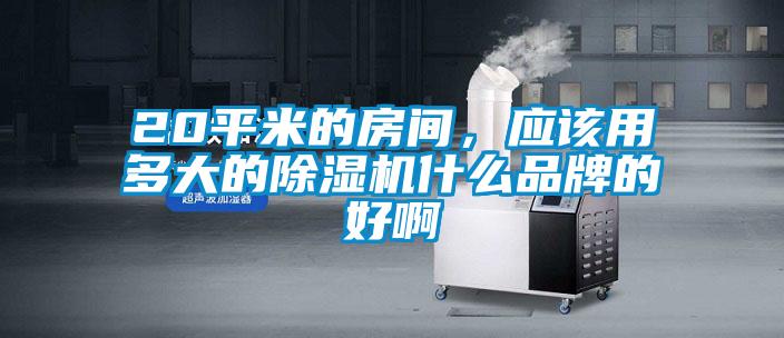 20平米的房間，應(yīng)該用多大的除濕機什么品牌的好啊