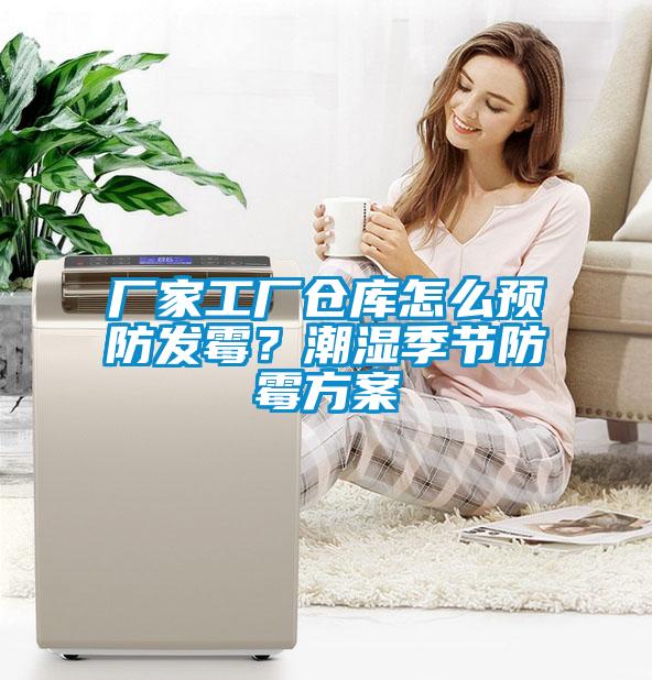 廠家工廠倉庫怎么預(yù)防發(fā)霉？潮濕季節(jié)防霉方案