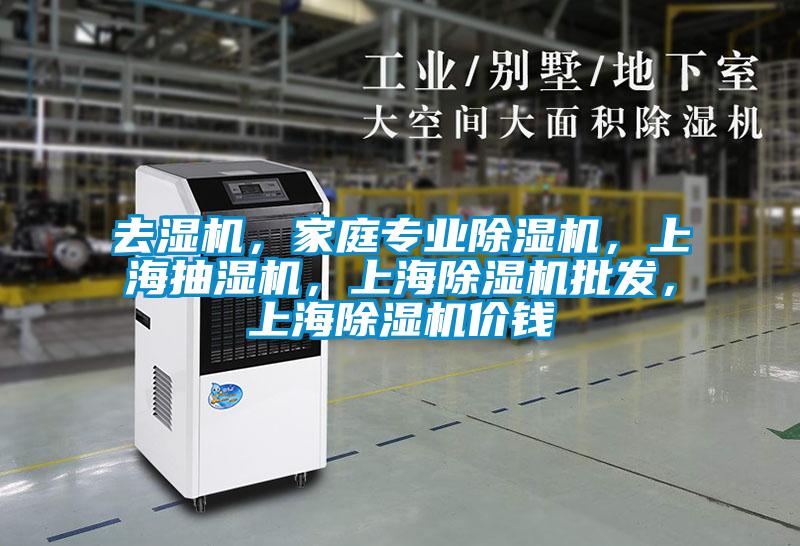 去濕機(jī)，家庭專業(yè)除濕機(jī)，上海抽濕機(jī)，上海除濕機(jī)批發(fā)，上海除濕機(jī)價(jià)錢(qián)
