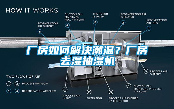 廠房如何解決潮濕？廠房去濕抽濕機(jī)