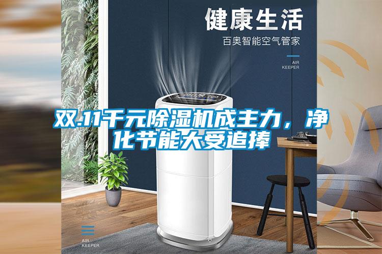 雙.11千元除濕機成主力，凈化節(jié)能大受追捧