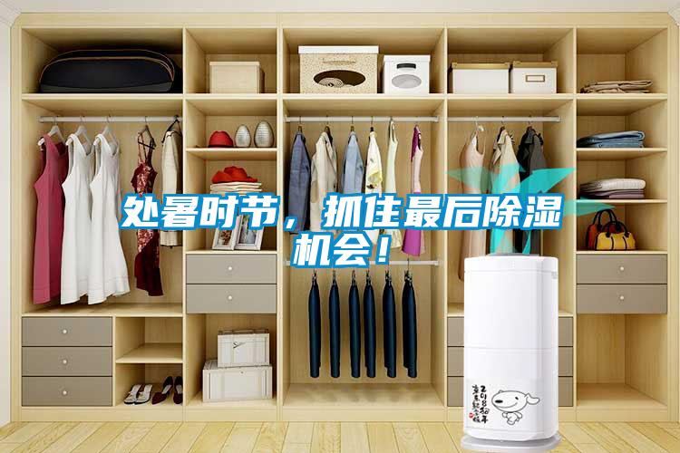 處暑時(shí)節(jié)，抓住最后除濕機(jī)會(huì)！