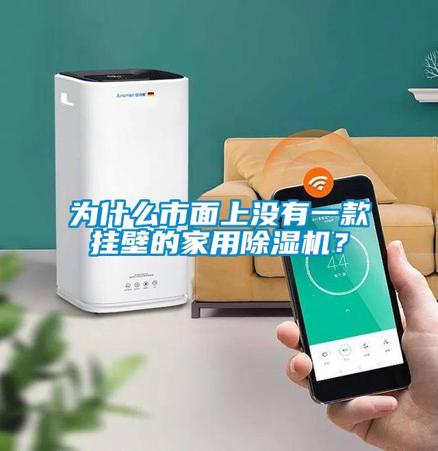 為什么市面上沒有一款掛壁的家用除濕機？