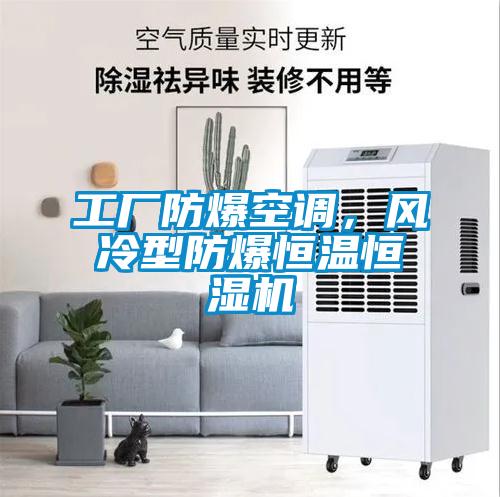 工廠防爆空調(diào)，風(fēng)冷型防爆恒溫恒濕機