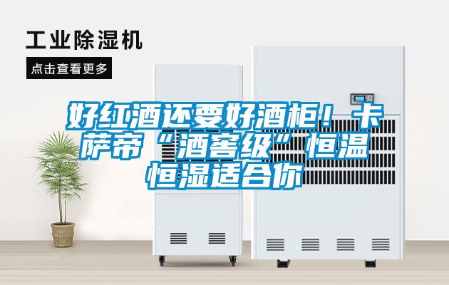 好紅酒還要好酒柜！卡薩帝“酒窖級”恒溫恒濕適合你