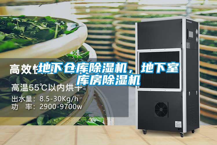 地下倉(cāng)庫(kù)除濕機(jī)，地下室?guī)旆砍凉駲C(jī)