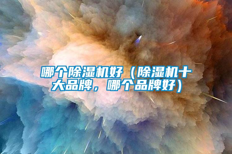 哪個除濕機好（除濕機十大品牌，哪個品牌好）