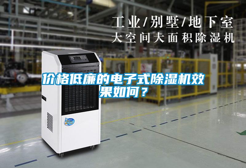 價格低廉的電子式除濕機效果如何？