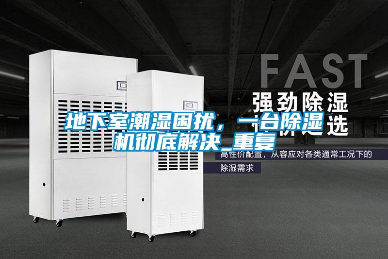 地下室潮濕困擾，一臺除濕機徹底解決_重復
