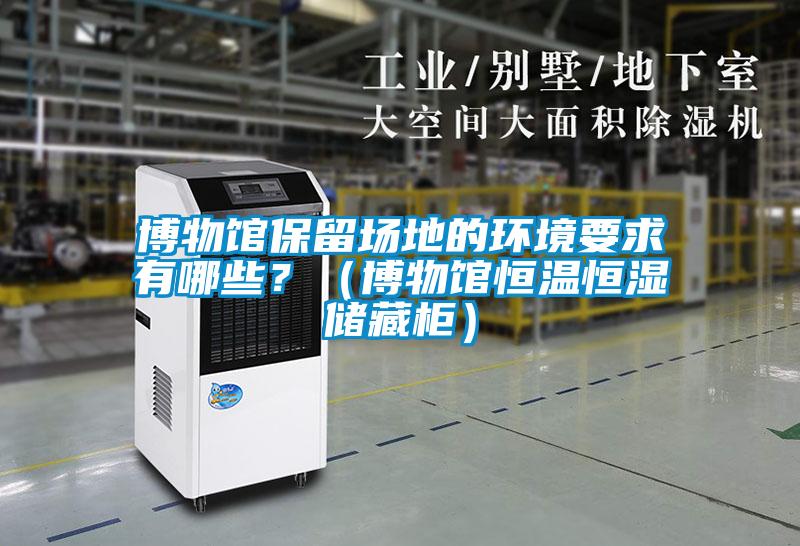博物館保留場地的環(huán)境要求有哪些？（博物館恒溫恒濕儲(chǔ)藏柜）