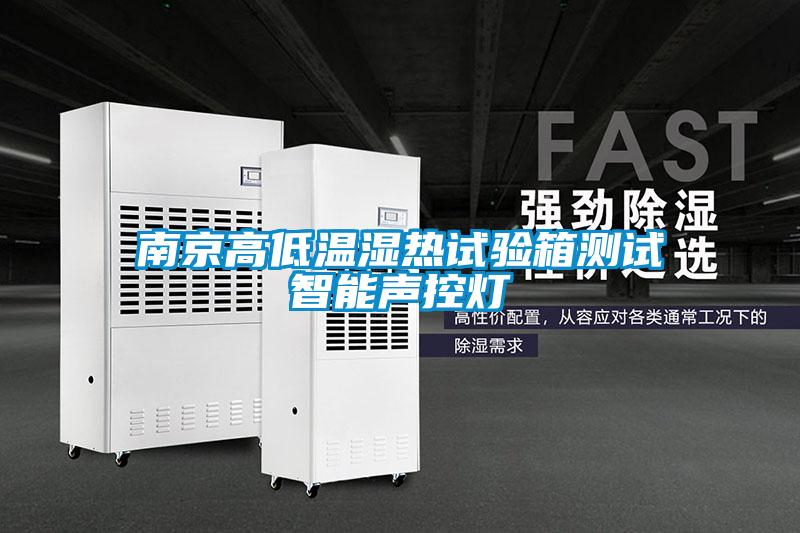 南京高低溫濕熱試驗箱測試智能聲控?zé)?/></p>
						    <p style=