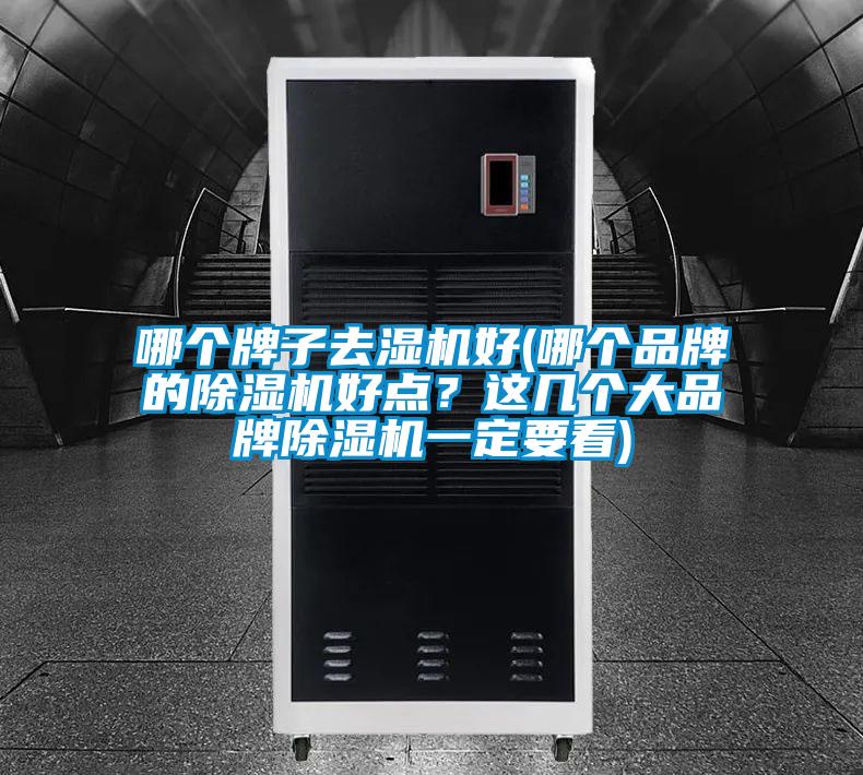 哪個牌子去濕機好(哪個品牌的除濕機好點？這幾個大品牌除濕機一定要看)