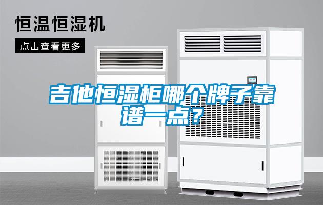 吉他恒濕柜哪個(gè)牌子靠譜一點(diǎn)？