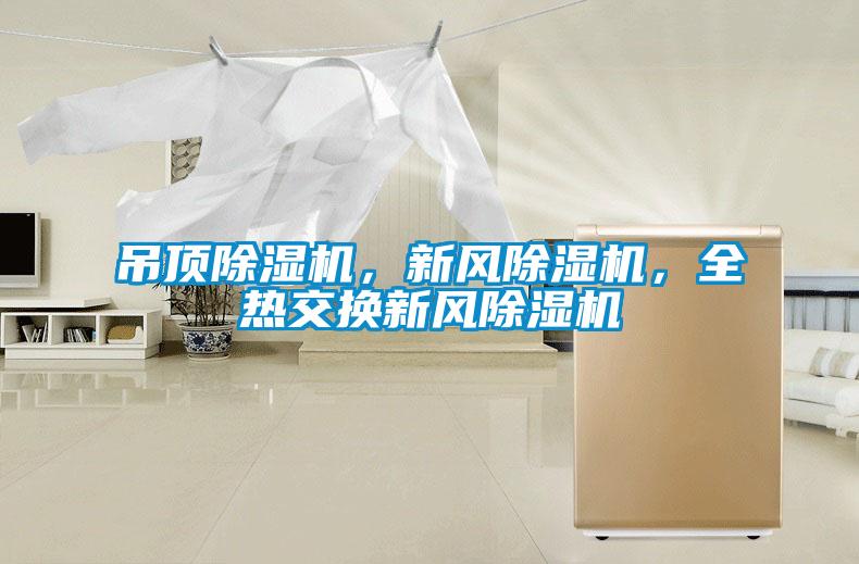 吊頂除濕機，新風除濕機，全熱交換新風除濕機