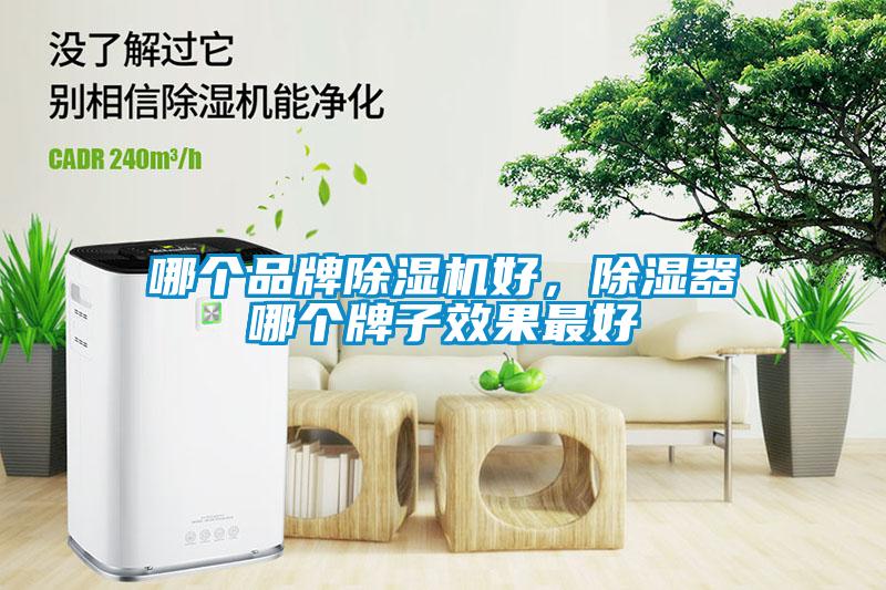 哪個(gè)品牌除濕機(jī)好，除濕器哪個(gè)牌子效果最好