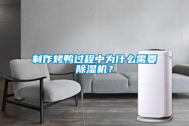 制作烤鴨過程中為什么需要除濕機(jī)？