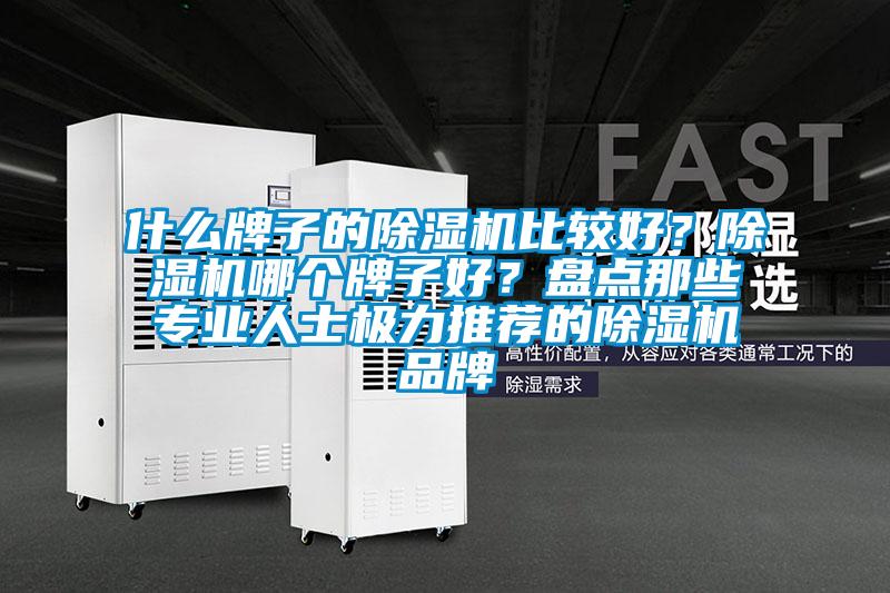 什么牌子的除濕機(jī)比較好？除濕機(jī)哪個牌子好？盤點那些專業(yè)人士極力推薦的除濕機(jī)品牌