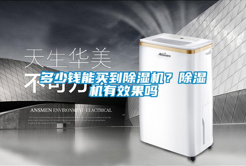 多少錢能買到除濕機(jī)？除濕機(jī)有效果嗎