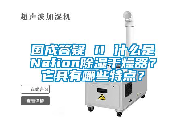 國成答疑 II 什么是Nafion除濕干燥器？它具有哪些特點？