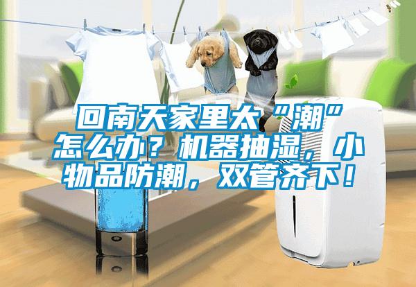 回南天家里太“潮”怎么辦？機(jī)器抽濕，小物品防潮，雙管齊下！
