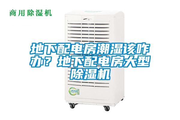 地下配電房潮濕該咋辦？地下配電房大型除濕機