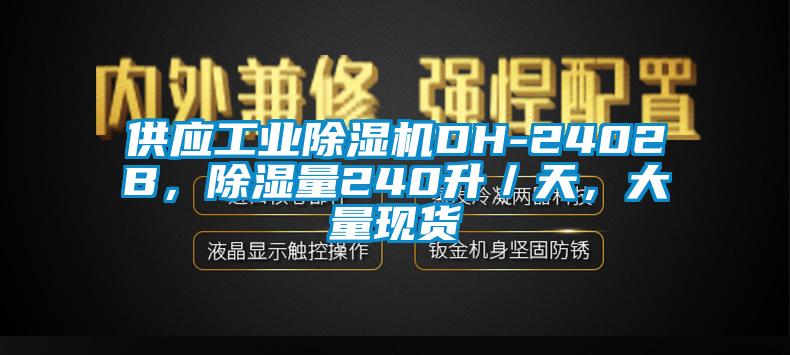 供應(yīng)工業(yè)除濕機(jī)DH-2402B，除濕量240升／天，大量現(xiàn)貨