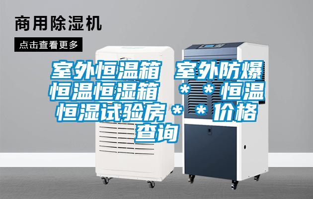室外恒溫箱 室外防爆恒溫恒濕箱 ＊＊恒溫恒濕試驗(yàn)房＊＊價格查詢