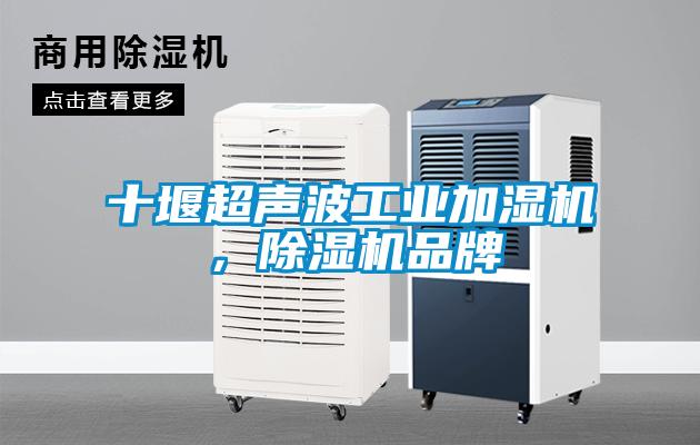十堰超聲波工業(yè)加濕機，除濕機品牌