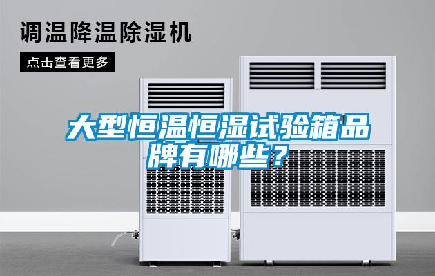 大型恒溫恒濕試驗箱品牌有哪些？
