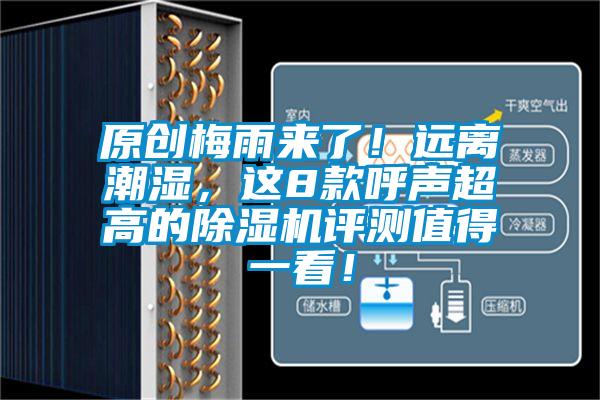 原創(chuàng)梅雨來了！遠離潮濕，這8款呼聲超高的除濕機評測值得一看！