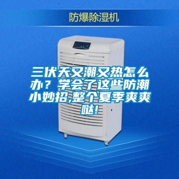 三伏天又潮又熱怎么辦？學(xué)會(huì)了這些防潮小妙招,整個(gè)夏季爽爽噠!