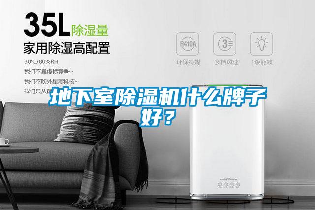 地下室除濕機(jī)什么牌子好？