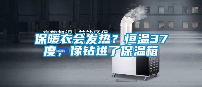 保暖衣會發(fā)熱？恒溫37度，像鉆進(jìn)了保溫箱