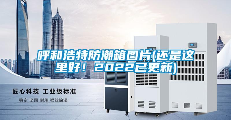 呼和浩特防潮箱圖片(還是這里好！2022已更新)