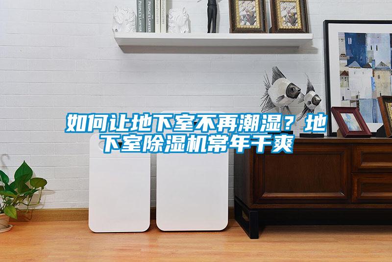 如何讓地下室不再潮濕？地下室除濕機常年干爽