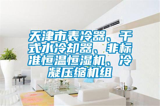 天津市表冷器、干式水冷卻器、非標(biāo)準(zhǔn)恒溫恒濕機(jī)、冷凝壓縮機(jī)組