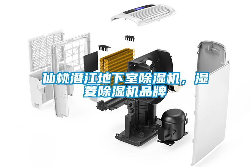 仙桃潛江地下室除濕機(jī)，濕菱除濕機(jī)品牌