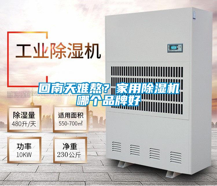 回南天難熬？家用除濕機哪個品牌好