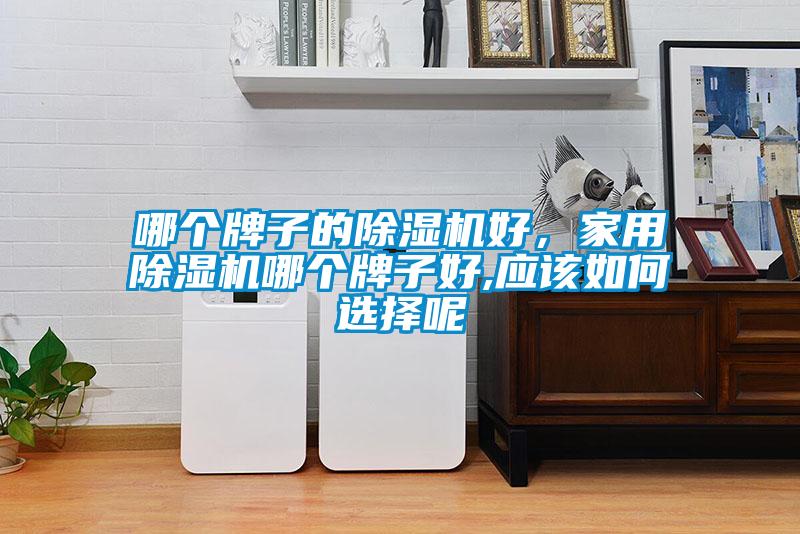哪個(gè)牌子的除濕機(jī)好，家用除濕機(jī)哪個(gè)牌子好,應(yīng)該如何選擇呢